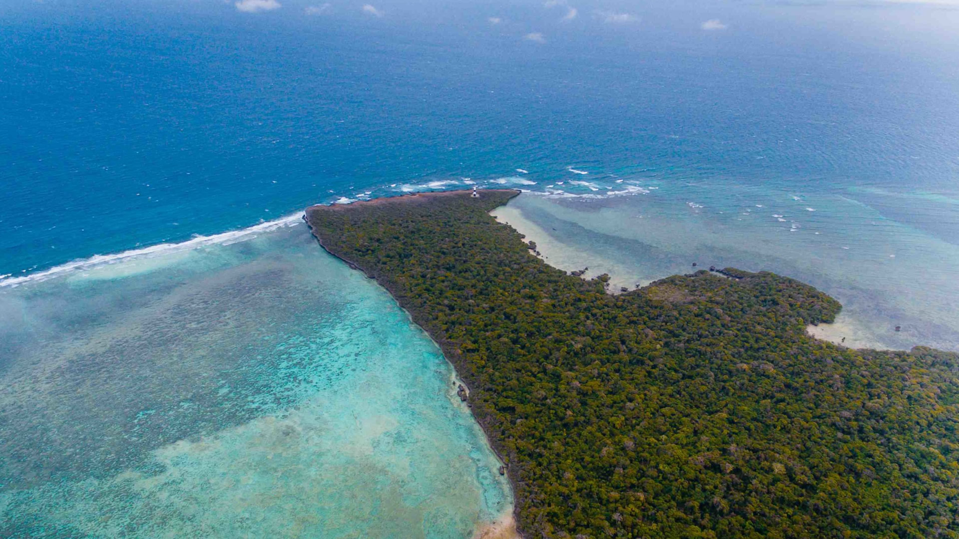 pungume sand and mangrove exploration